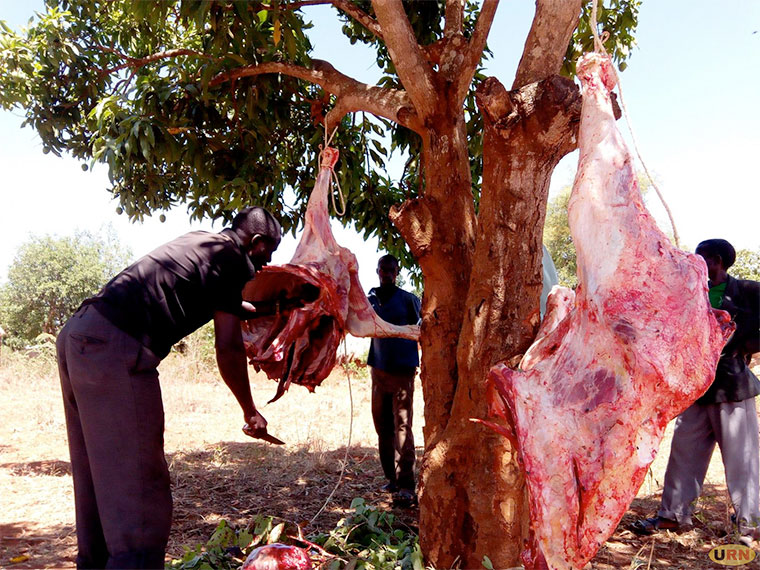 Meat prices fall to Shs 1,000 as dry spell hits Nakasongola